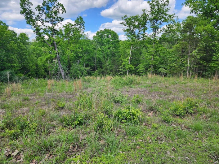 0 Rue Marseilles, Bonne Terre, Missouri 63628, ,Land,For Sale,Rue Marseilles,MAR25030022