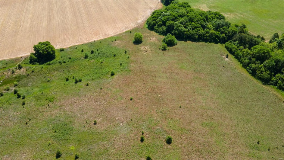0 MO-AA, Sikeston, Missouri 63801, ,Farm,For Sale,MO-AA,MAR25029644
