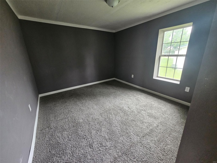 Spare room with carpet floors, baseboards, and ornamental molding