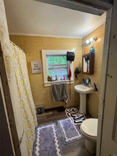 Full bathroom with crown molding, wood finished floors, toilet, tile walls, and curtained shower