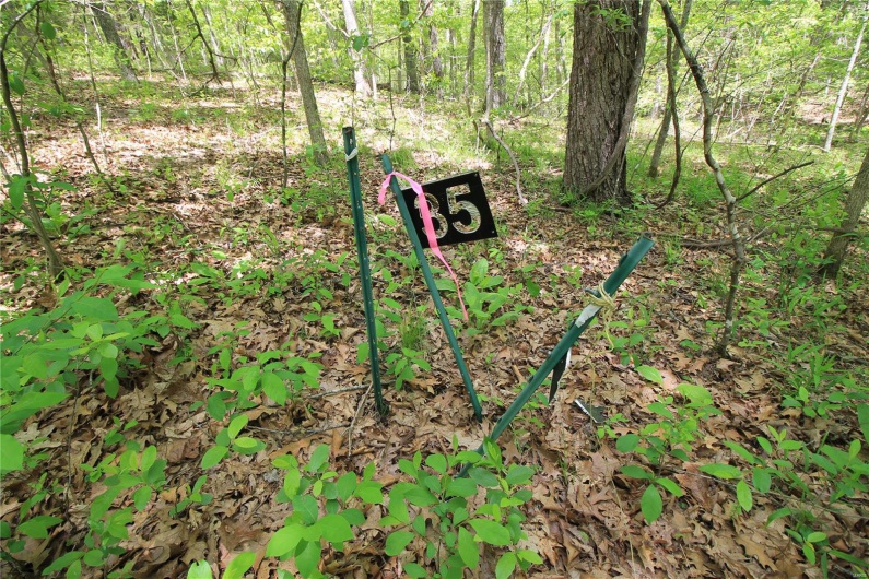 0 Twin Oaks Road, Bonne Terre, Missouri 63628, ,Land,For Sale,Twin Oaks,MAR25030244