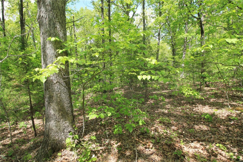 0 Twin Oaks Road, Bonne Terre, Missouri 63628, ,Land,For Sale,Twin Oaks,MAR25030244
