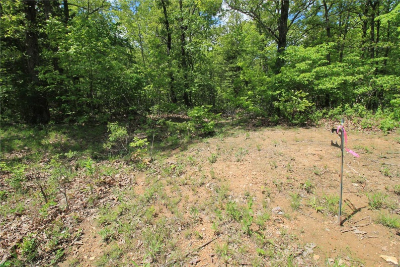 0 Twin Oaks Road, Bonne Terre, Missouri 63628, ,Land,For Sale,Twin Oaks,MAR25030244