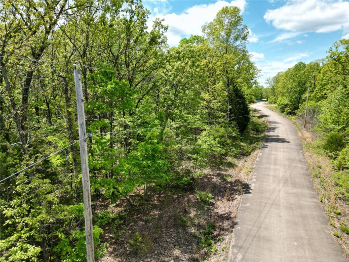 0 Twin Oaks Road, Bonne Terre, Missouri 63628, ,Land,For Sale,Twin Oaks,MAR25030244