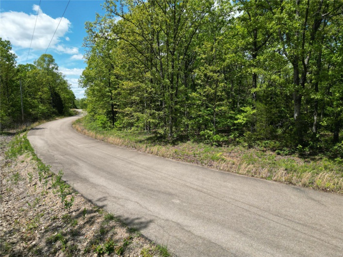 0 Twin Oaks Road, Bonne Terre, Missouri 63628, ,Land,For Sale,Twin Oaks,MAR25030244