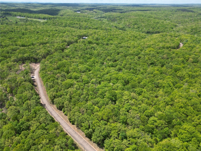 0 Twin Oaks Road, Bonne Terre, Missouri 63628, ,Land,For Sale,Twin Oaks,MAR25030244