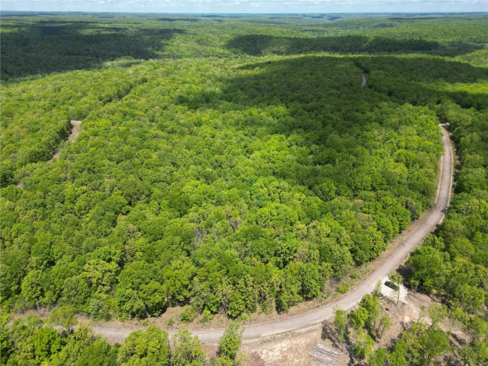 0 Twin Oaks Road, Bonne Terre, Missouri 63628, ,Land,For Sale,Twin Oaks,MAR25030244