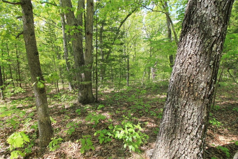 0 Twin Oaks Road, Bonne Terre, Missouri 63628, ,Land,For Sale,Twin Oaks,MAR25030244