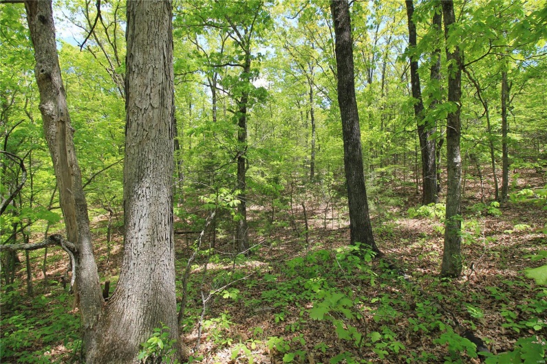 0 Twin Oaks Road, Bonne Terre, Missouri 63628, ,Land,For Sale,Twin Oaks,MAR25030244