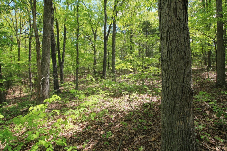 0 Twin Oaks Road, Bonne Terre, Missouri 63628, ,Land,For Sale,Twin Oaks,MAR25030244