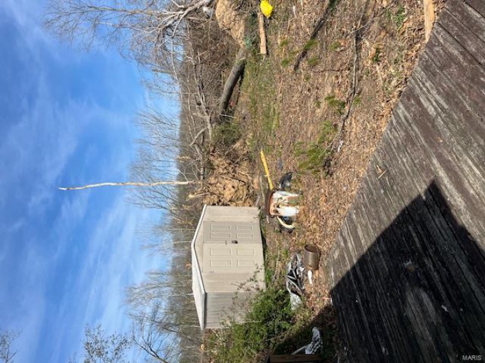 0 Private Road 459A-2, Piedmont, Missouri 63957, ,Land,For Sale,Private Road 459A-2,MAR25030278