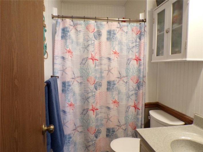 Full bath with toilet, vanity, and curtained shower