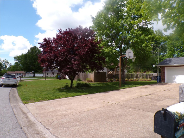 Beautiful Trees on the property.