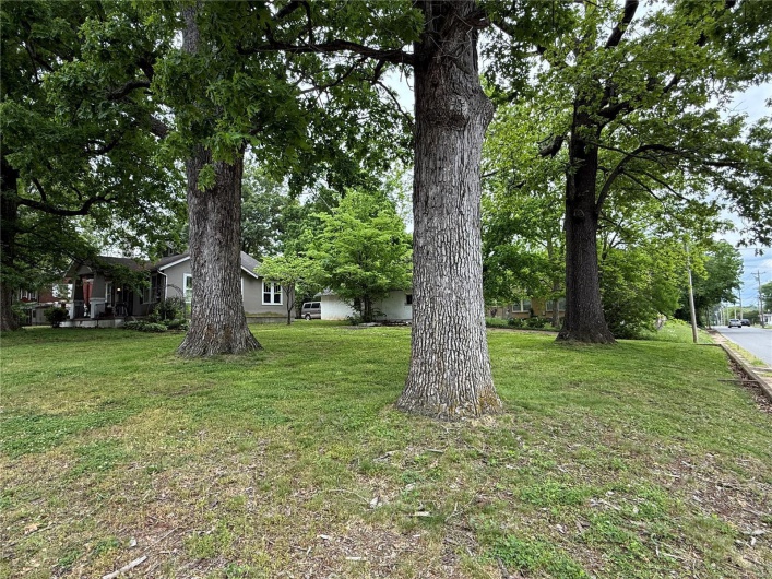 View of green lawn