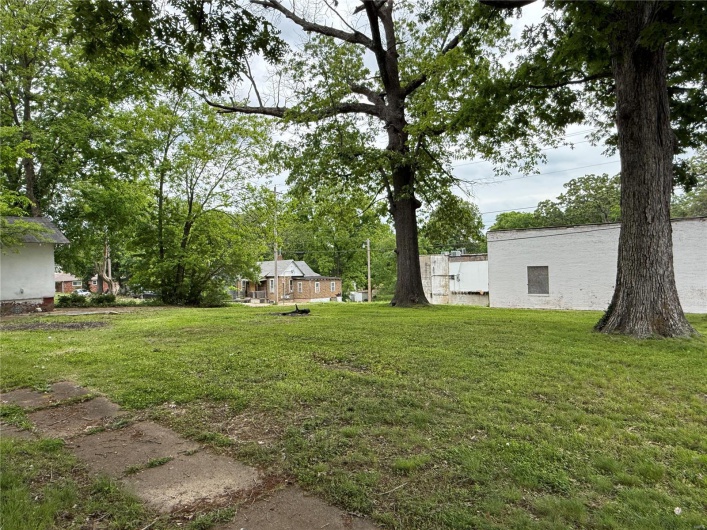 View of grassy yard