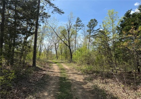 1 B Off Bidwell Creek Road, Fredericktown, Missouri 63645, ,Farm,For Sale,B Off Bidwell Creek,MAR25009219