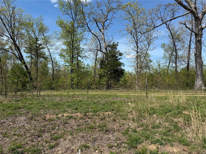 1 B Off Bidwell Creek Road, Fredericktown, Missouri 63645, ,Farm,For Sale,B Off Bidwell Creek,MAR25009219