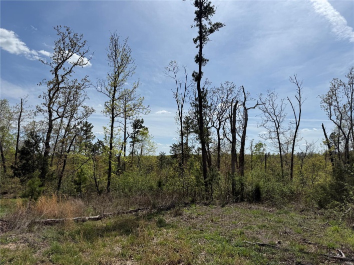 1 B Off Bidwell Creek Road, Fredericktown, Missouri 63645, ,Farm,For Sale,B Off Bidwell Creek,MAR25009219