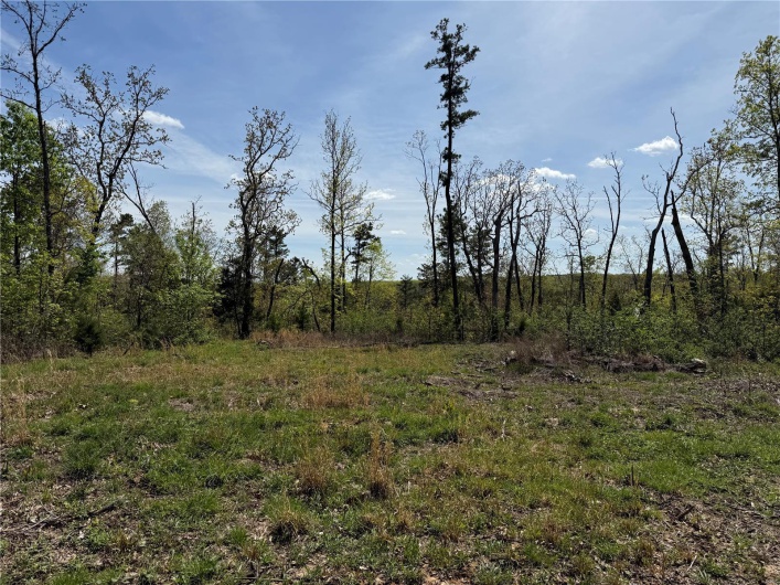 1 B Off Bidwell Creek Road, Fredericktown, Missouri 63645, ,Farm,For Sale,B Off Bidwell Creek,MAR25009219