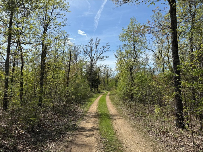 1 B Off Bidwell Creek Road, Fredericktown, Missouri 63645, ,Farm,For Sale,B Off Bidwell Creek,MAR25009219