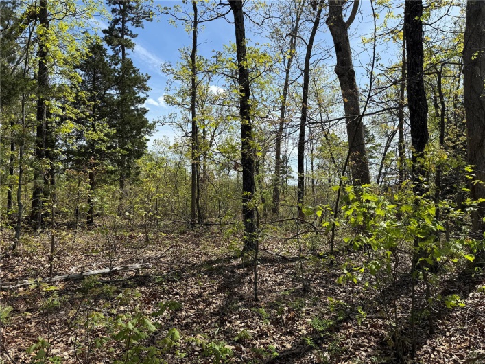 1 B Off Bidwell Creek Road, Fredericktown, Missouri 63645, ,Farm,For Sale,B Off Bidwell Creek,MAR25009219