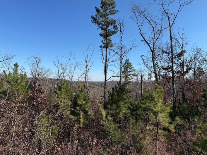 1 B Off Bidwell Creek Road, Fredericktown, Missouri 63645, ,Farm,For Sale,B Off Bidwell Creek,MAR25009219