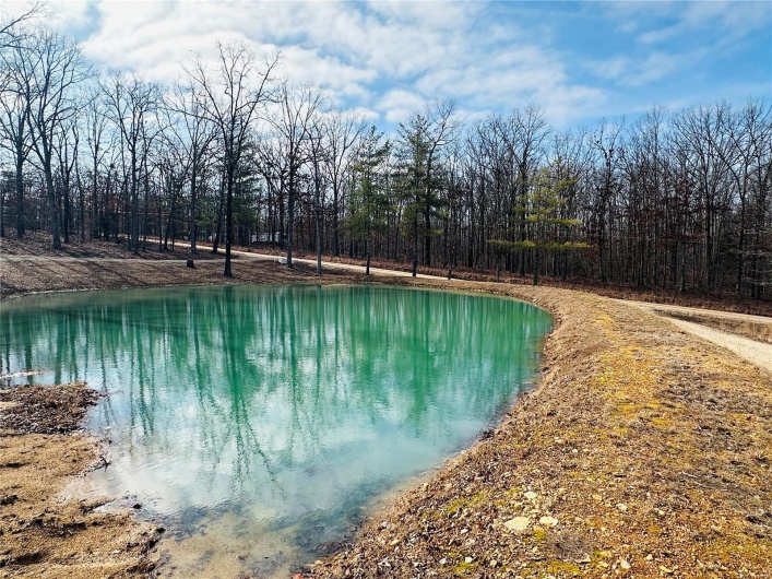 116 Buttry Ln, Wappapello, Missouri 63966, 4 Bedrooms Bedrooms, 8 Rooms Rooms,2 BathroomsBathrooms,Residential,For Sale,Buttry Ln,MAR25006642