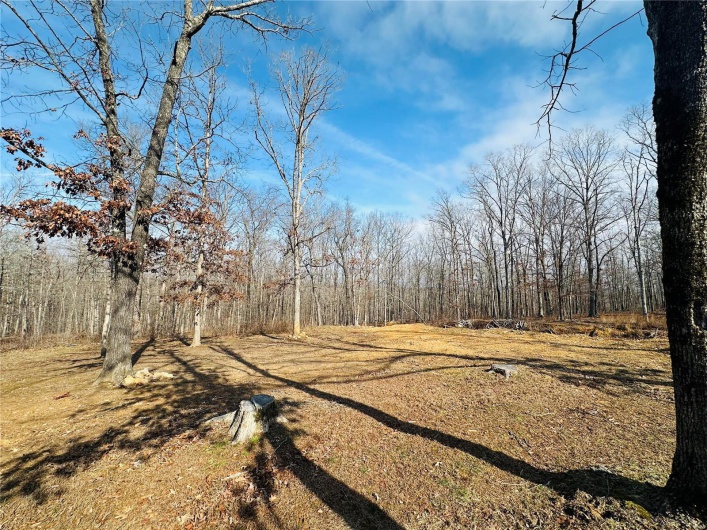 116 Buttry Ln, Wappapello, Missouri 63966, 4 Bedrooms Bedrooms, 8 Rooms Rooms,2 BathroomsBathrooms,Residential,For Sale,Buttry Ln,MAR25006642