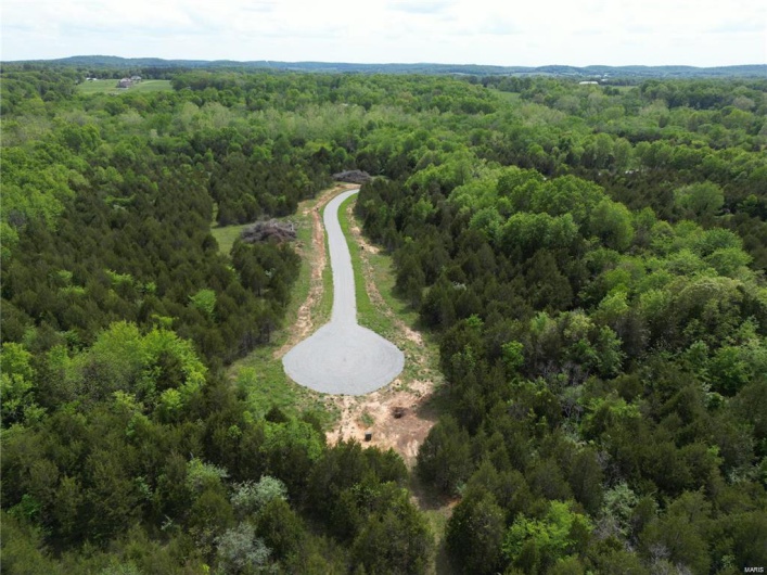 Drone / aerial view of a forest