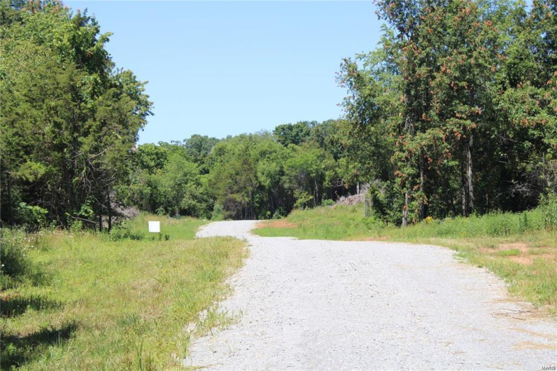 View of dirt / gravel road with a wooded view