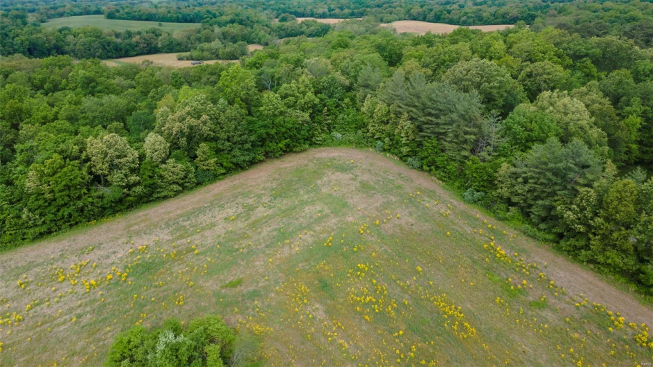3933 State Highway B, Oak Ridge, Missouri 63769, 2 Bedrooms Bedrooms, 5 Rooms Rooms,1 BathroomBathrooms,Farm,For Sale,State Highway B,MAR25030120