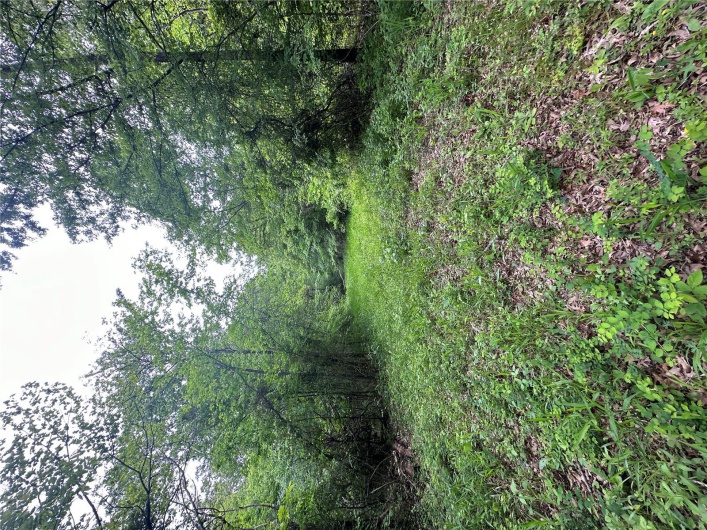 4626 Wayne 380, Patterson, Missouri 63956, 2 Bedrooms Bedrooms, 4 Rooms Rooms,1 BathroomBathrooms,Farm,For Sale,Wayne 380,MAR25030476
