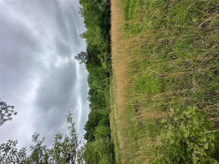 4626 Wayne 380, Patterson, Missouri 63956, 2 Bedrooms Bedrooms, 4 Rooms Rooms,1 BathroomBathrooms,Farm,For Sale,Wayne 380,MAR25030476