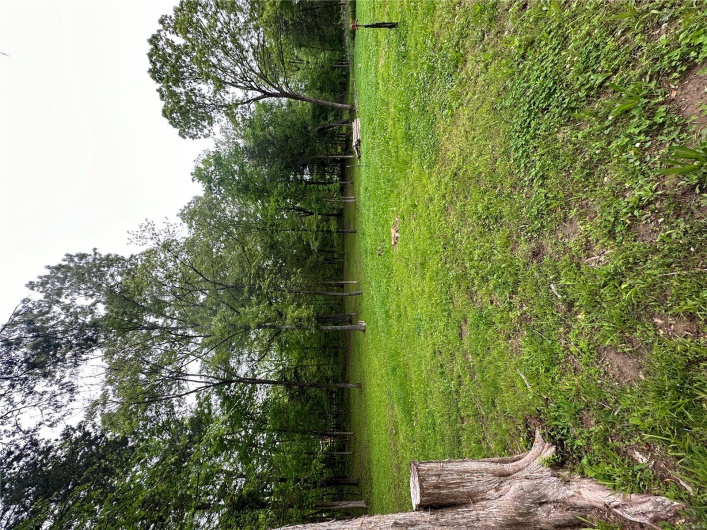 4626 Wayne 380, Patterson, Missouri 63956, 2 Bedrooms Bedrooms, 4 Rooms Rooms,1 BathroomBathrooms,Farm,For Sale,Wayne 380,MAR25030476