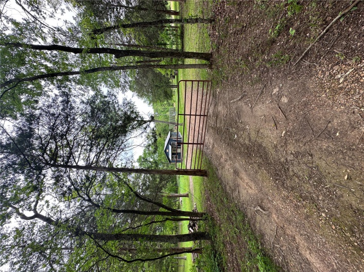 4626 Wayne 380, Patterson, Missouri 63956, 2 Bedrooms Bedrooms, 4 Rooms Rooms,1 BathroomBathrooms,Farm,For Sale,Wayne 380,MAR25030476
