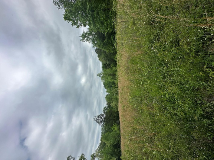 4626 Wayne 380, Patterson, Missouri 63956, 2 Bedrooms Bedrooms, 4 Rooms Rooms,1 BathroomBathrooms,Farm,For Sale,Wayne 380,MAR25030476