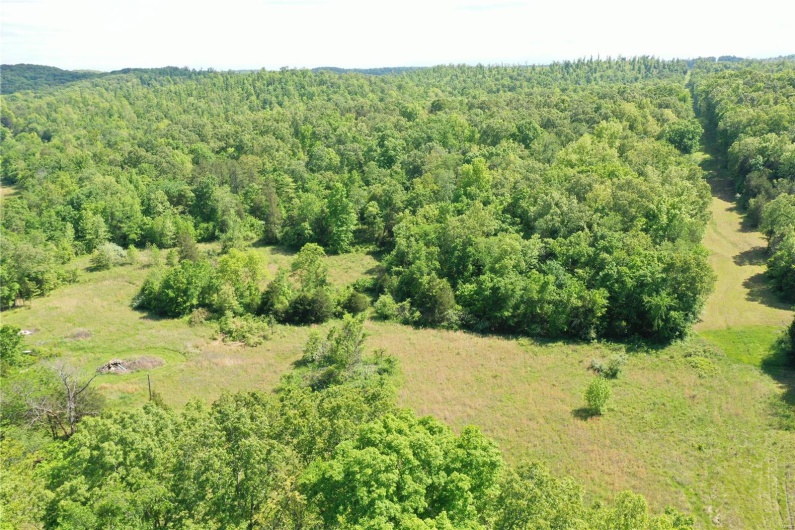 4626 Wayne 380, Patterson, Missouri 63956, 2 Bedrooms Bedrooms, 4 Rooms Rooms,1 BathroomBathrooms,Farm,For Sale,Wayne 380,MAR25030476
