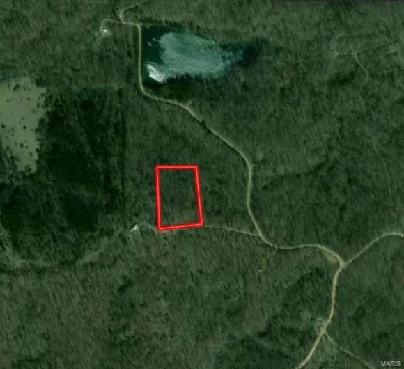 79 Bretts Trail, Annapolis, Missouri 63620, ,Farm,For Sale,Bretts,MAR25029555