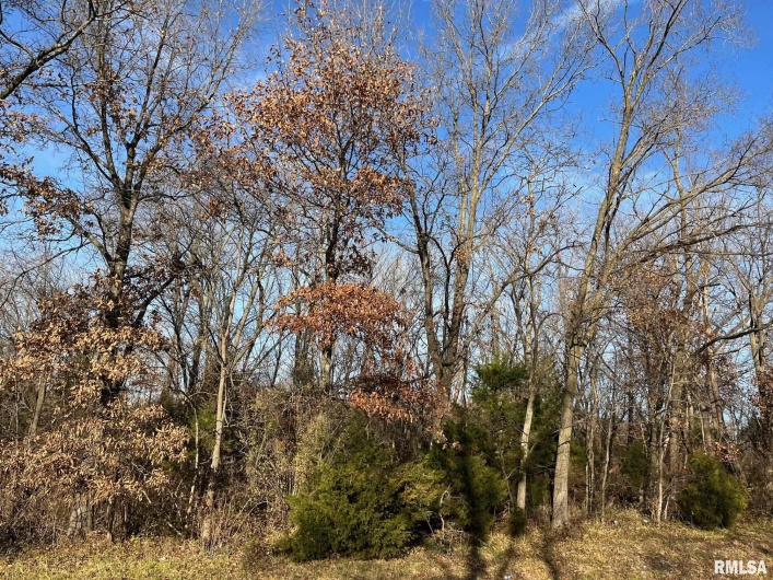 140 House Road, Elkville, Illinois 62932, 0 , 0 ,0,Land,For Sale,House,0,RMAQC4259646