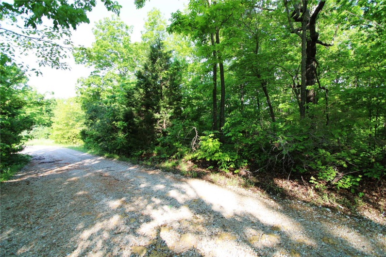 0 Lot 123 & 124 County Road 816, Perryville, Missouri 63775, ,Land,For Sale,Lot 123 & 124 County Road 816,MAR25030568