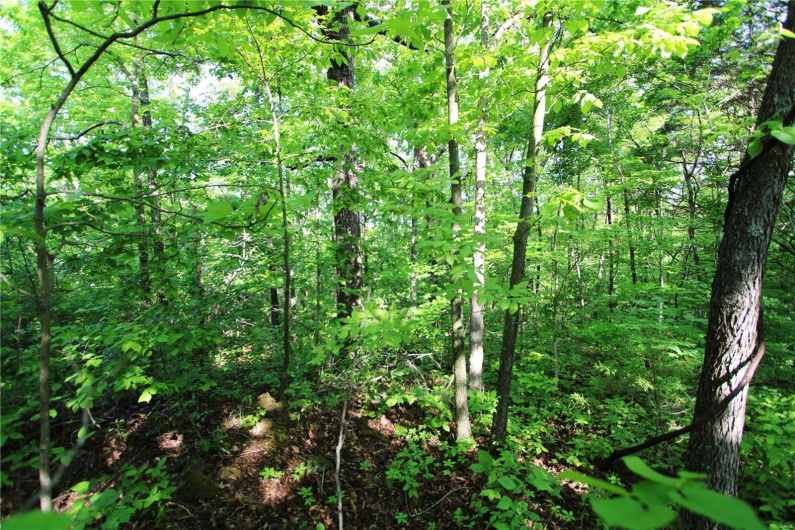 0 Lot 123 & 124 County Road 816, Perryville, Missouri 63775, ,Land,For Sale,Lot 123 & 124 County Road 816,MAR25030568