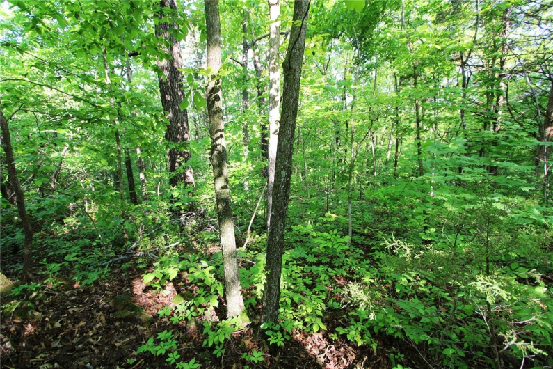 0 Lot 123 & 124 County Road 816, Perryville, Missouri 63775, ,Land,For Sale,Lot 123 & 124 County Road 816,MAR25030568