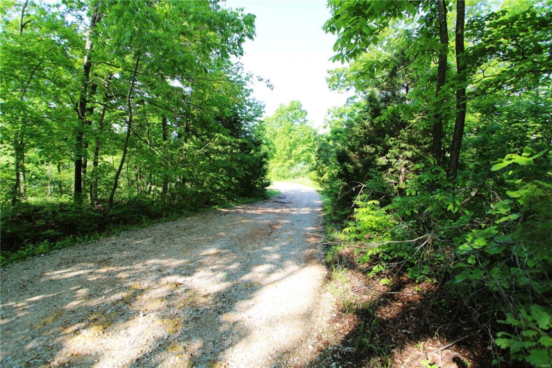 0 Lot 123 & 124 County Road 816, Perryville, Missouri 63775, ,Land,For Sale,Lot 123 & 124 County Road 816,MAR25030568