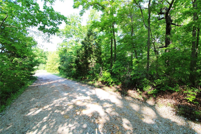 0 Lot 123 & 124 County Road 816, Perryville, Missouri 63775, ,Land,For Sale,Lot 123 & 124 County Road 816,MAR25030568
