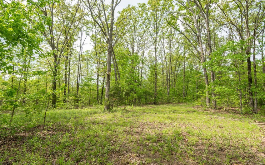 123 Bush Drive, Zalma, Missouri 63787, 2 Bedrooms Bedrooms, 2 Rooms Rooms,1 BathroomBathrooms,Farm,For Sale,Bush,MAR25030713
