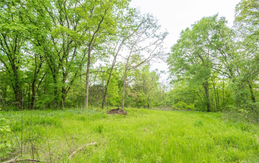 123 Bush Drive, Zalma, Missouri 63787, 2 Bedrooms Bedrooms, 2 Rooms Rooms,1 BathroomBathrooms,Farm,For Sale,Bush,MAR25030713