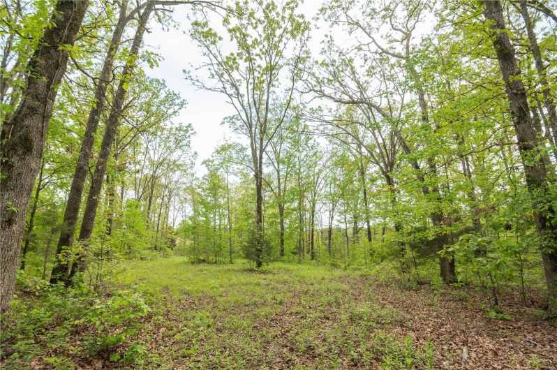 123 Bush Drive, Zalma, Missouri 63787, 2 Bedrooms Bedrooms, 2 Rooms Rooms,1 BathroomBathrooms,Farm,For Sale,Bush,MAR25030713