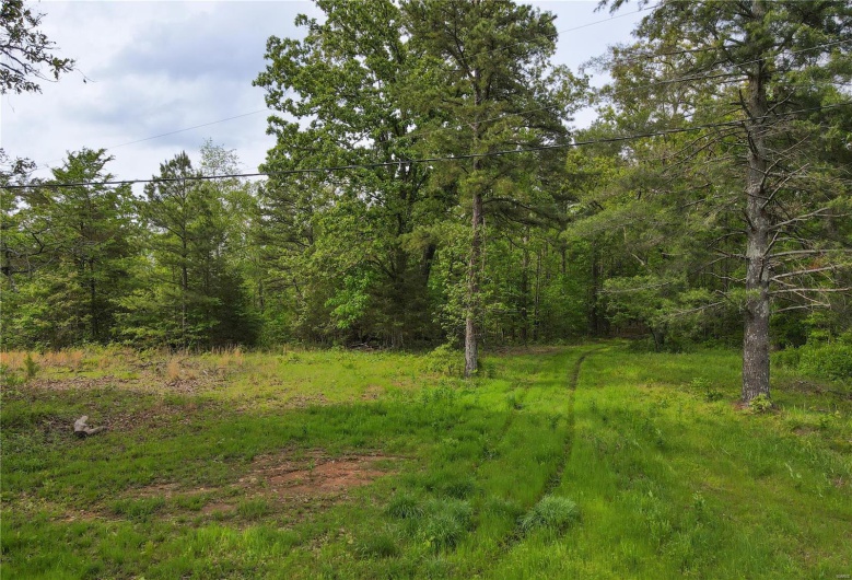123 Bush Drive, Zalma, Missouri 63787, 2 Bedrooms Bedrooms, 2 Rooms Rooms,1 BathroomBathrooms,Farm,For Sale,Bush,MAR25030713