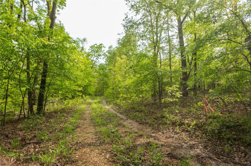 123 Bush Drive, Zalma, Missouri 63787, 2 Bedrooms Bedrooms, 2 Rooms Rooms,1 BathroomBathrooms,Farm,For Sale,Bush,MAR25030713