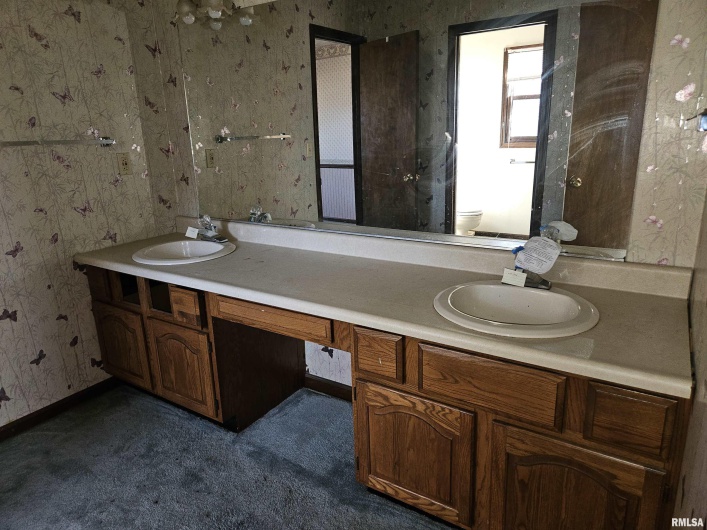196 APPLE Lane, Carbondale, Illinois 62901, 4 Bedrooms Bedrooms, 0 ,2 BathroomsBathrooms,Residential,For Sale,APPLE,0,RMAEB457071